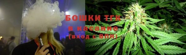 амф Козловка