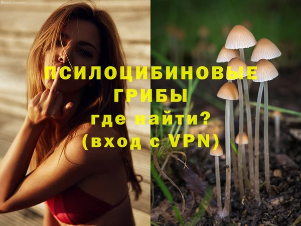 метадон Козельск