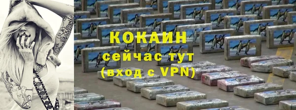 амф Козловка
