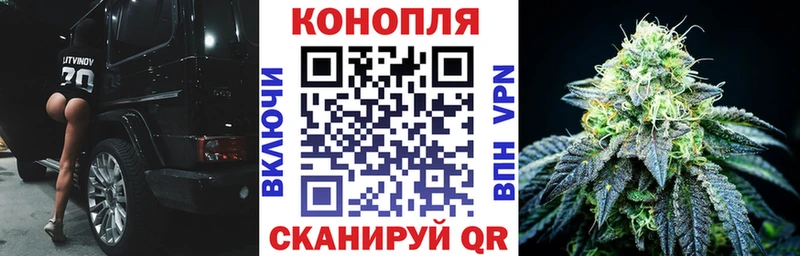 Купить  Черемхово  Конопля индика 